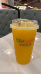 -宝燕水乐园