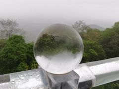-黄埔油麻山森林公园