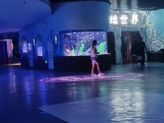 -多彩贵州城极地海洋世界