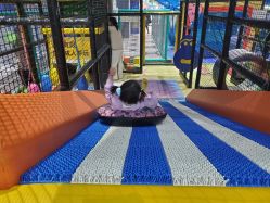 -反弹蹦床公园·亲子乐园·团建·派对(尚品奥莱店)