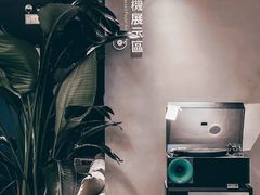 -Echo回声黑胶唱片咖啡馆