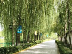 -西安汉城湖景区