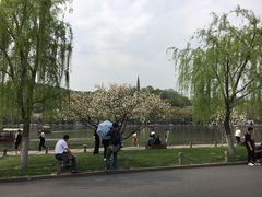 -苏堤停车场