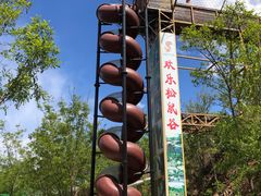 -欢乐松鼠谷
