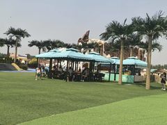 -秦皇岛乐岛海洋王国