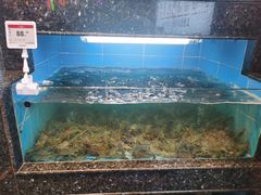 -王庄阿咪海鲜大排档(象园店)
