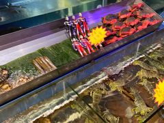 -辉记炭烧海鲜大排档·老字号(福田店)