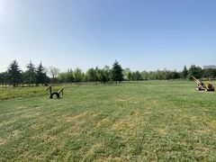 -汉长安城未央宫国家考古遗址公园