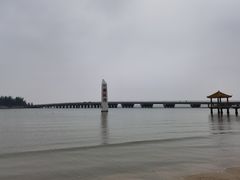 -东郊椰林
