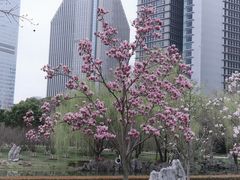 -陆家嘴中心绿地