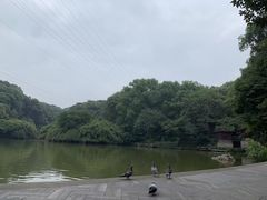 -忠山公园