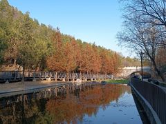 -白水寺森林公园