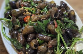 Golden Herb Mountain Snail