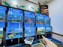 -金龙·打边炉(武进路店)