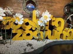 -Zoolung Zoolung动物主题公园(海信广场店)