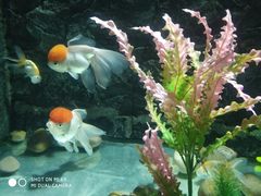 -苏州海洋馆