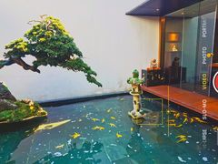-觀芷隐轩