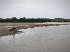 -宁波杭州湾国家湿地公园