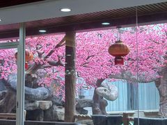 -榕记(番禺总店)