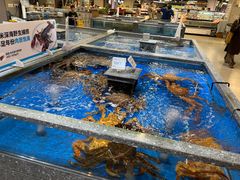 -盒马鲜生(杭州运河上街店)