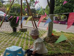 -铁山坪森林公园