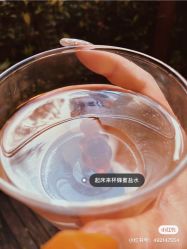 -YASAKI国际舞蹈中心