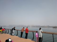 -丁香湖公园
