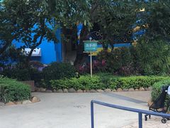 -珠海长隆海洋王国