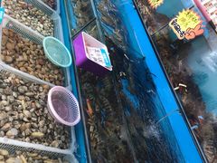 -港畔赶海蒸汽海鲜烧烤自助(仙螺岛店)