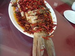 -微山岛春天里酒家