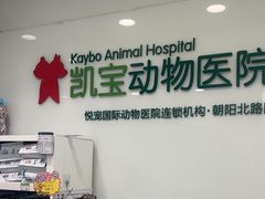 -悦宠凯宝动物医院·牙科·皮肤科(朝阳北路店)