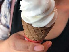 -富豪雪糕车流动点(尖沙咀店)