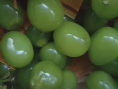 -五里多农博广场