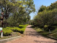 -八大山人梅湖景区