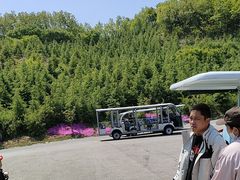 -《神游传奇》秀