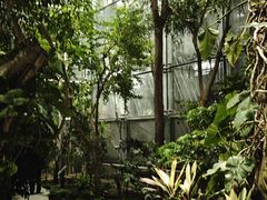 -国家植物园南园