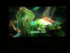 android_upload_pic-横店影城(水游城店)