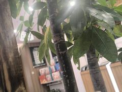 -艾柏堂8090经络·艾灸养生(御庭府邸店)