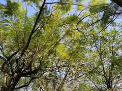 -华南师范大学(广州大学城校区)