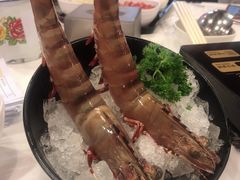 -鲜入围煮花胶鸡海鲜火锅