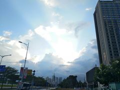 -The Lounge大堂酒廊·咖啡·沙拉·下午茶(金茂深圳JW万豪酒店)