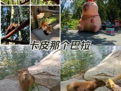 -北京野生动物园