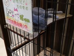 -津菜宋记老房子(鼓楼店)