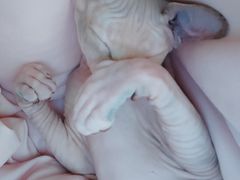 -北京恒爱动物医院(清景园分院)