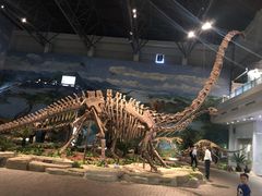 -自贡恐龙博物馆