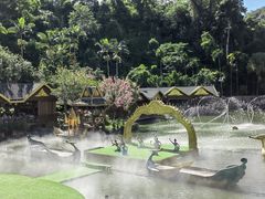 -西双版纳原始森林公园