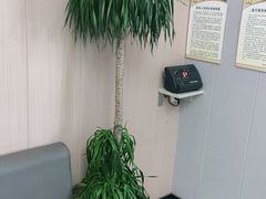 -半岛宠物医院24小时(科华中路店)