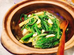 豆豉鲮鱼啫油麦菜-啫神·广州地标美食(北京路店)