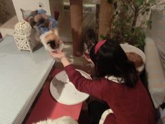 CIMG0074-Sirena海妖日咖夜酒