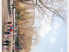 -玲珑塔公园